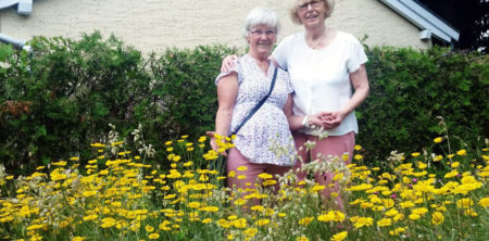 Bio, Blumen und Sonne
