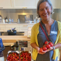 Tomaten von “Paddy”